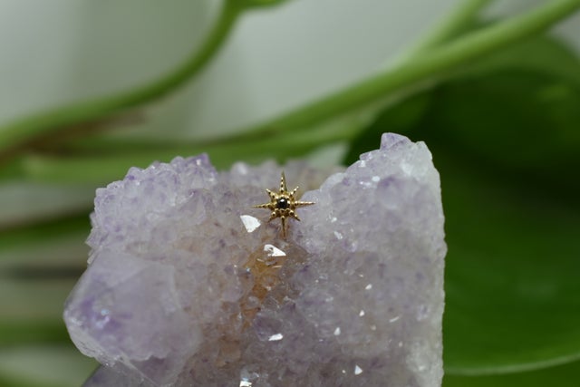 Golden Hour Piercing